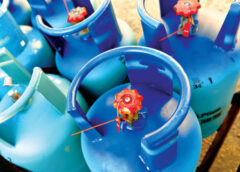 Action on inferior LPG cylinders sought