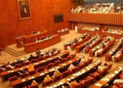 Senate denounces Netanyahu’s plans to form ‘hexagon of alliances’ with India against Muslim nations