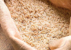 Doha interested in boosting rice imports